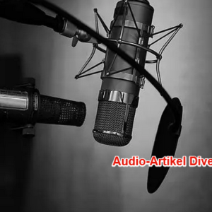 Audio-Artikel